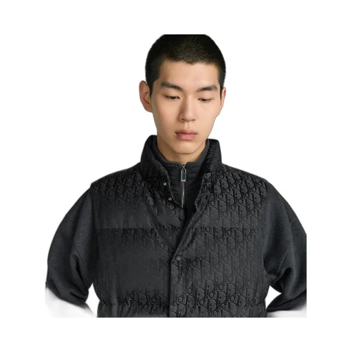 Dior Oblique Down Vest