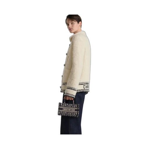 Mini Dior Book Tote