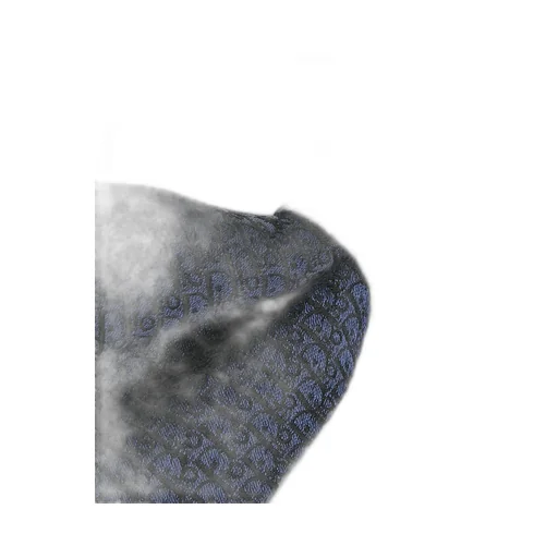 Dior Oblique Bow Tie