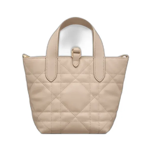 Dior Toujours Vertical Nano Tote Bag