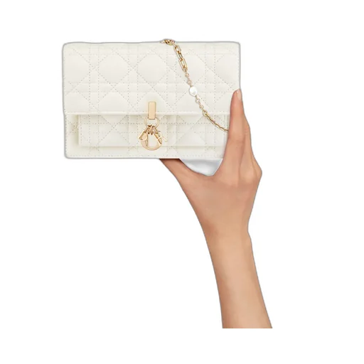 My Dior Daily Pouch With Chain