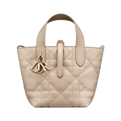 Dior Toujours Vertical Nano Tote Bag