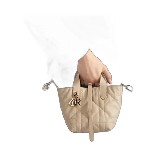 Dior Toujours Vertical Nano Tote Bag
