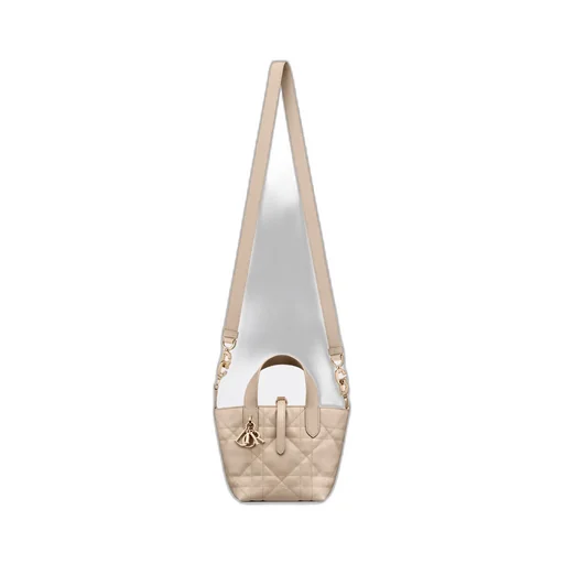 Dior Toujours Vertical Nano Tote Bag