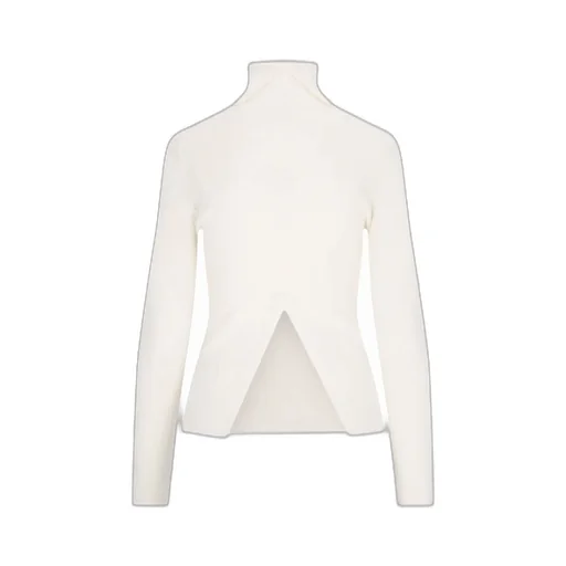 P.A.R.O.S.H. Ribbed Knit Turtleneck