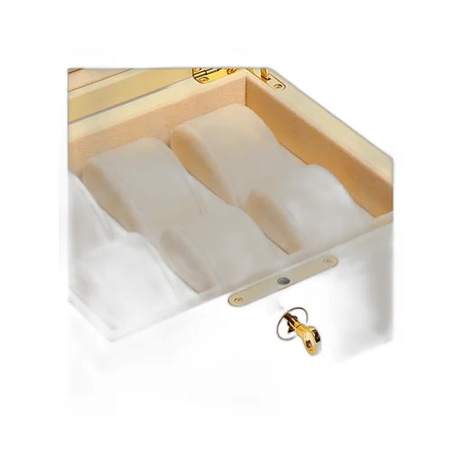 Six-Piece Watch Case