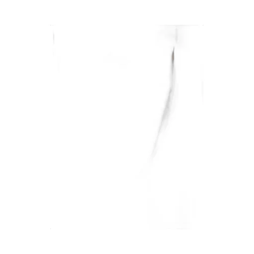 P.A.R.O.S.H. Mid-Rise Straight-Leg Trousers