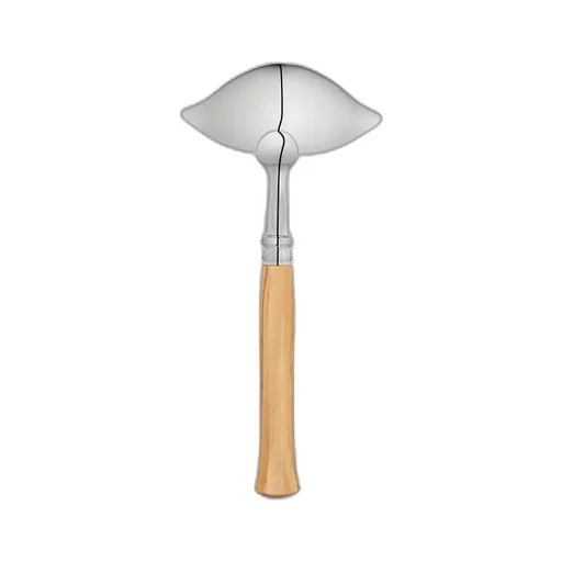 Ladle