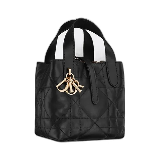 Dior Toujours Vertical Nano Tote Bag