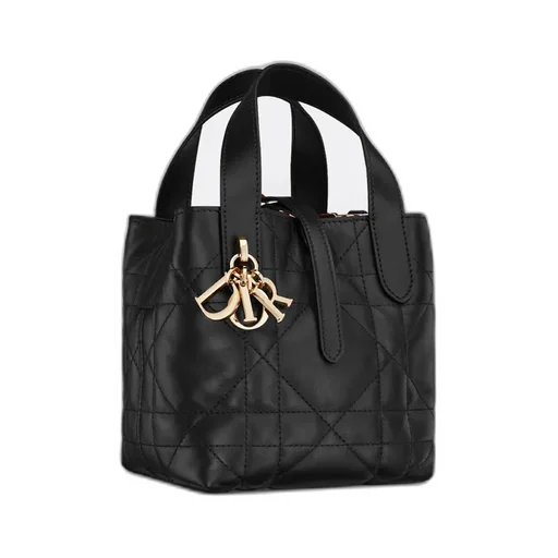 Dior Toujours Vertical Nano Tote Bag