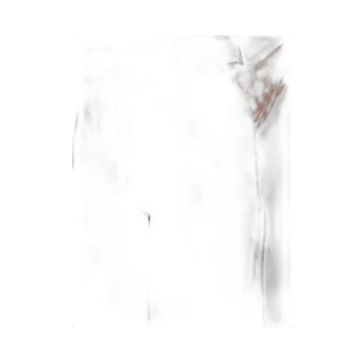 P.A.R.O.S.H. Wide-Leg Tailored Trousers