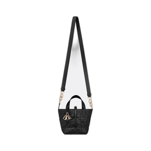Dior Toujours Vertical Nano Tote Bag