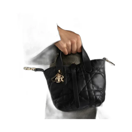 Dior Toujours Vertical Nano Tote Bag