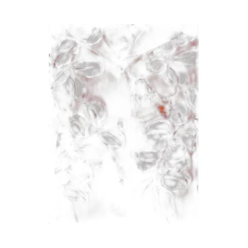 P.A.R.O.S.H. Floral Print Short-Sleeved Shirt