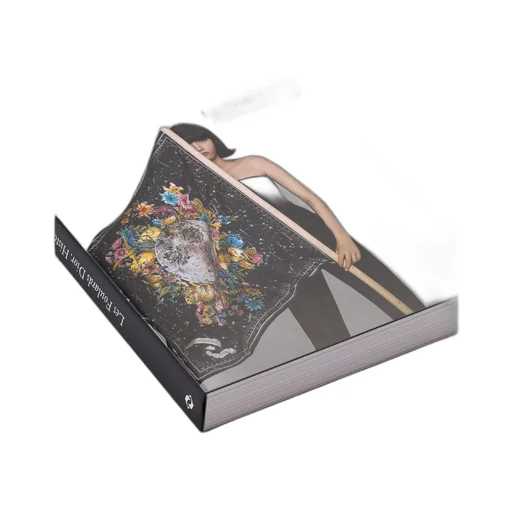 Book: Les Foulards Dior. Histoires De Mode