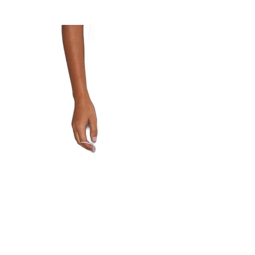 P.A.R.O.S.H. Feather Embellished Sleeveless Midi Dress