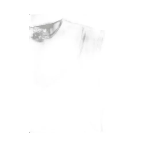 P.A.R.O.S.H. Semi-Sheer Sleeveless Top