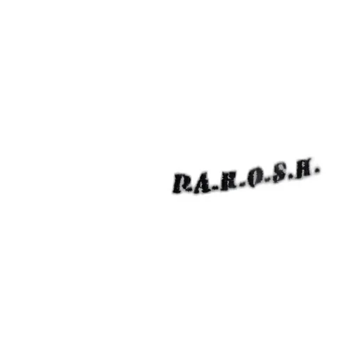 P.A.R.O.S.H. Ribbed Tank Top
