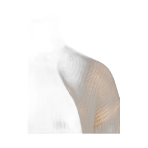 P.A.R.O.S.H. Roll Neck Straight Hem Jumper