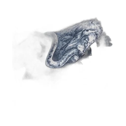 Toile De Jouy Sauvage Blanket