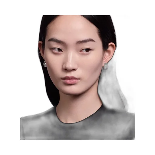 My Dior Earrings
