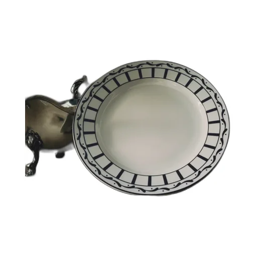 Dinner Plate