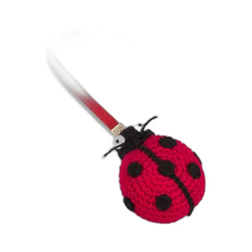 Kids' Ladybug Charm