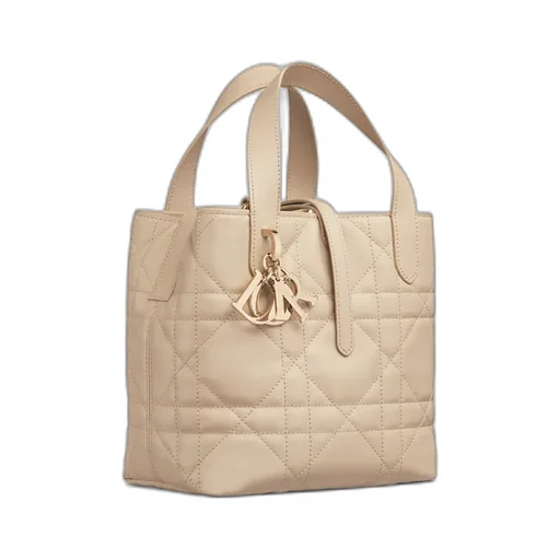 Small Dior Toujours Vertical Tote Bag