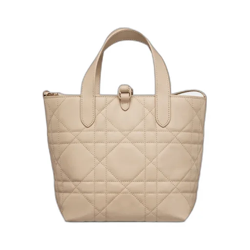 Small Dior Toujours Vertical Tote Bag