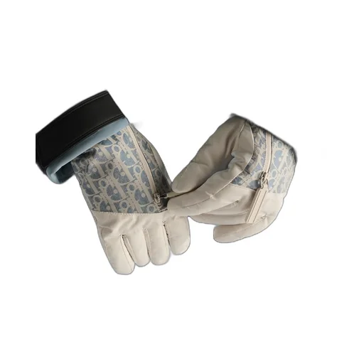 Dioralps Dior Oblique Ski Gloves