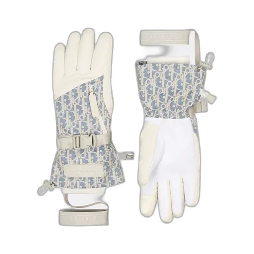 Dioralps Dior Oblique Ski Gloves