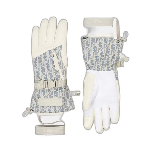 Dioralps Dior Oblique Ski Gloves