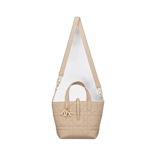 Small Dior Toujours Vertical Tote Bag
