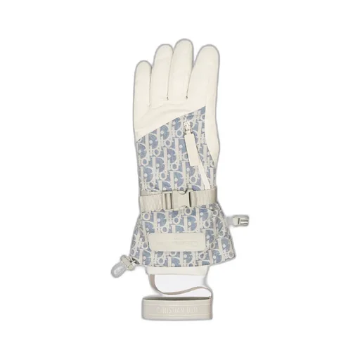 Dioralps Dior Oblique Ski Gloves