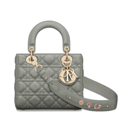 Small Lady Dior My Abcdior Bag