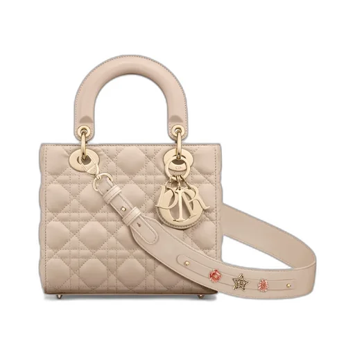Small Lady Dior My Abcdior Bag