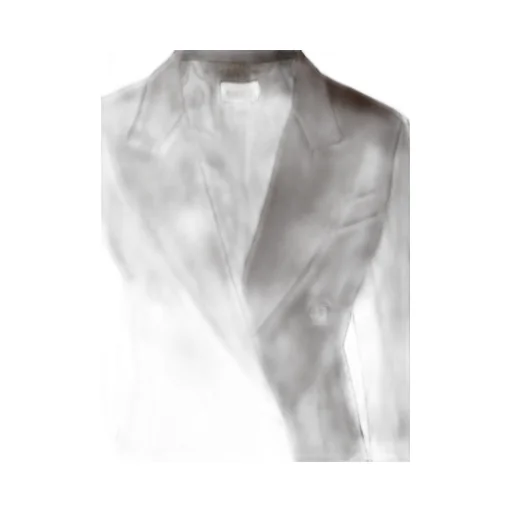 P.A.R.O.S.H. Double-Breasted Blazer