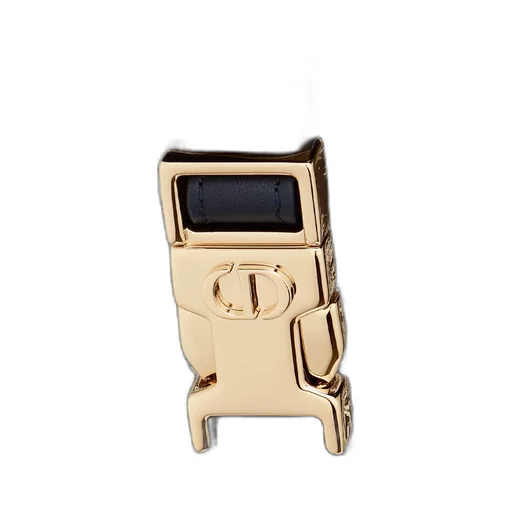 Medium Diortravel Nomad Pouch