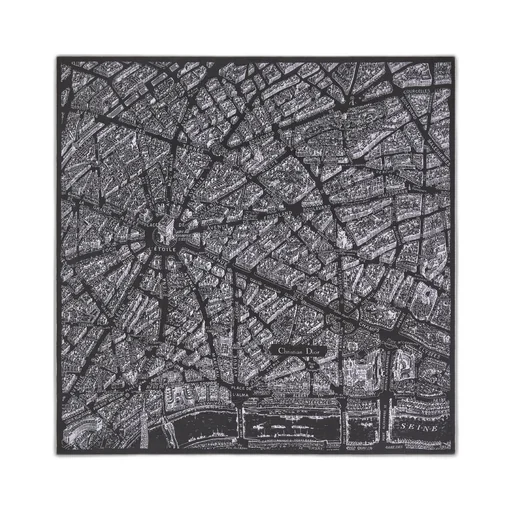 Plan De Paris Shawl