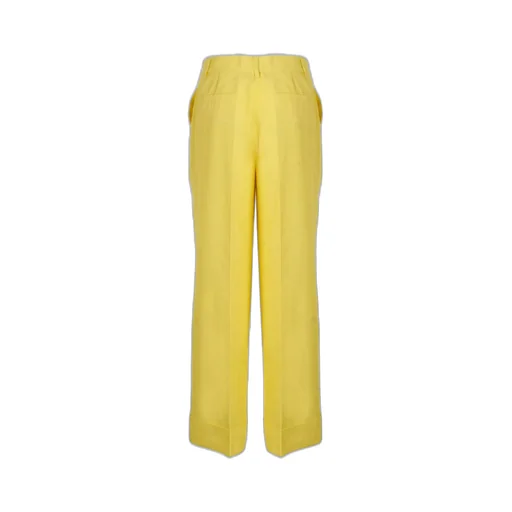 P.A.R.O.S.H. Raisa Pressed Crease Pants