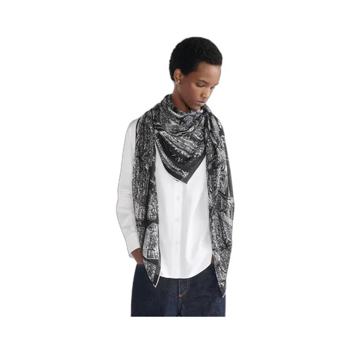 Plan De Paris Shawl