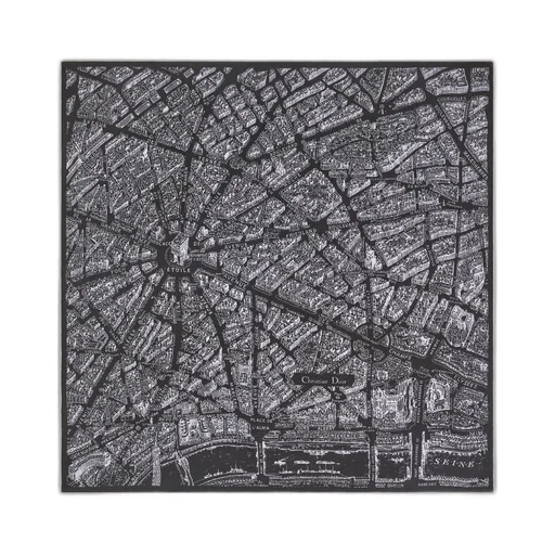 Plan De Paris Shawl