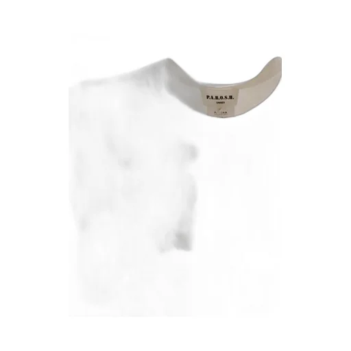 P.A.R.O.S.H. Embroidered Buttoned Shirt
