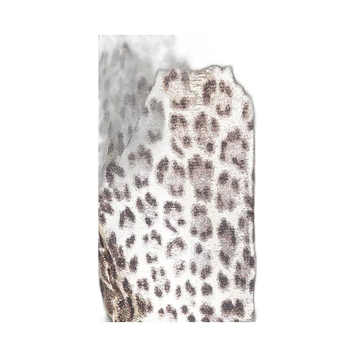 P.A.R.O.S.H. Leopard Printed Straight-Leg Pants