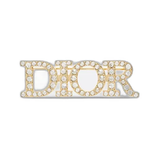 Dioevolution Brooch