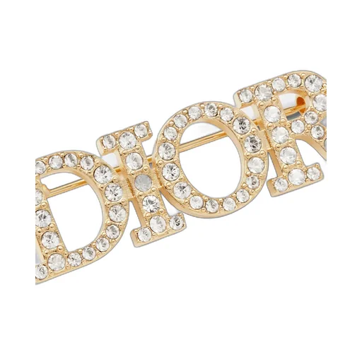 Dioevolution Brooch