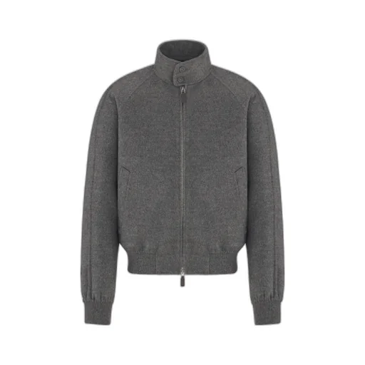 Dior Icons Harrington Jacket