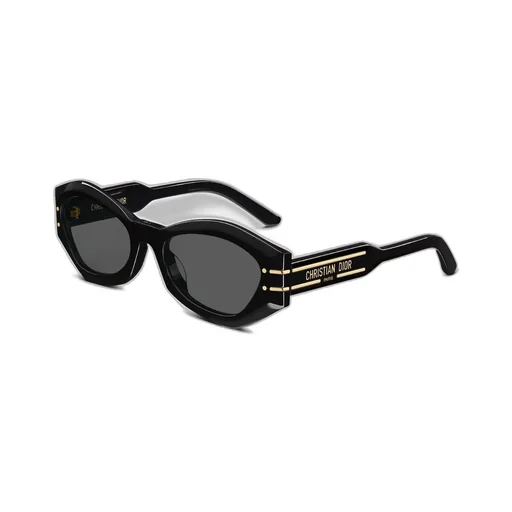 Diorsignature B1U