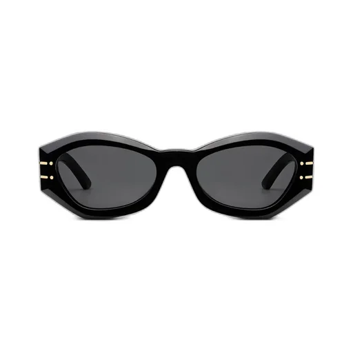 Diorsignature B1U