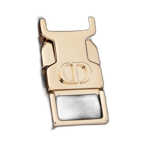 Small Diorcamp Bag